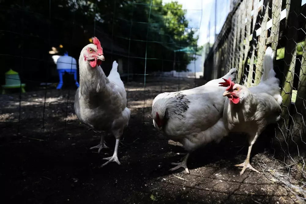 Campingplatz Le Brabois3 Sterne★★★