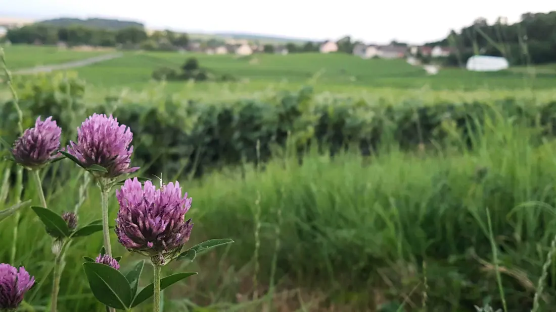 Gîte de France Das Dorf 3 Ohren
