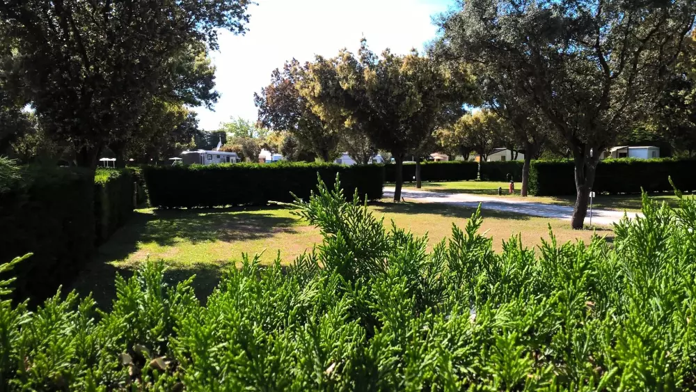 Camping des Favards 4 étoiles★★★★