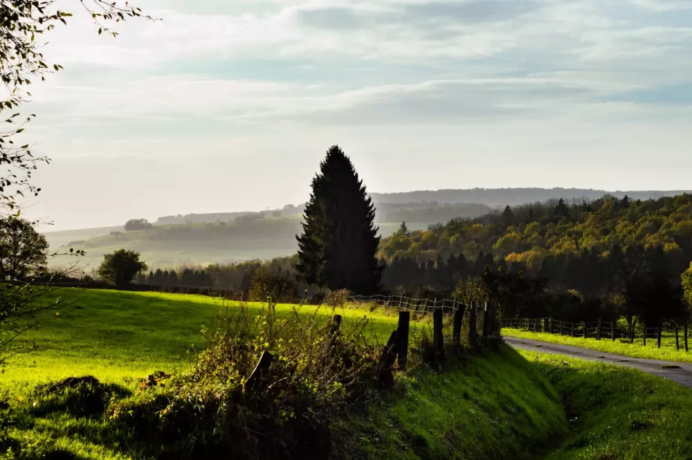 Camping La Colline 4 Stars★★★★