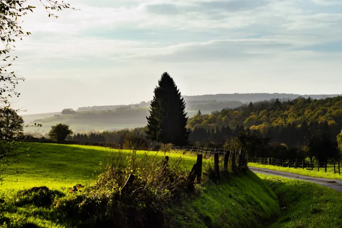 Camping La Colline 4 Stars★★★★