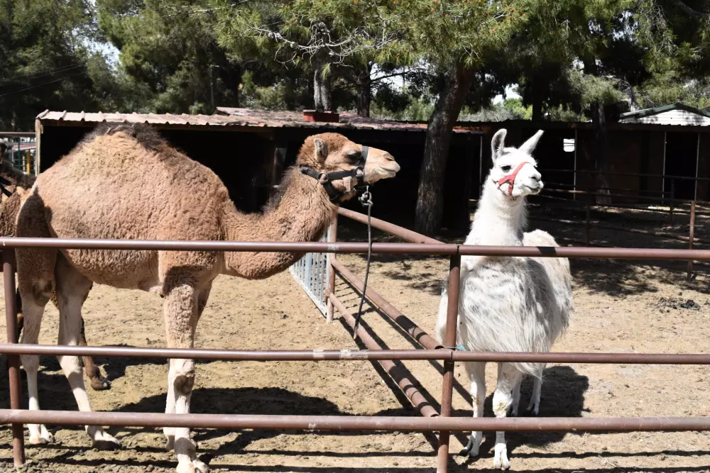 Camping Marina Plage3 Estrellas★★★