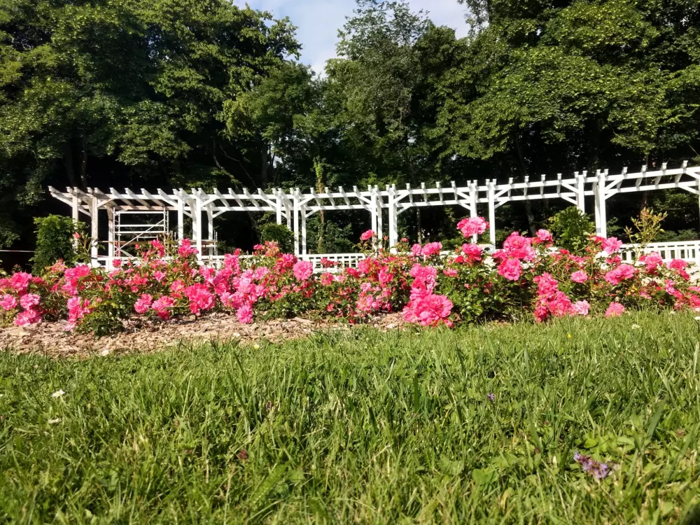 Campsite Seasonova Vittel 3 Stars★★★