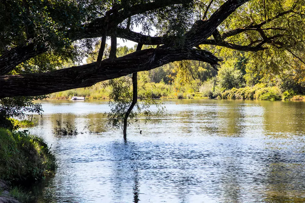 Campingplads Domaine du Cros d'Auzon 4 Stjerner★★★★