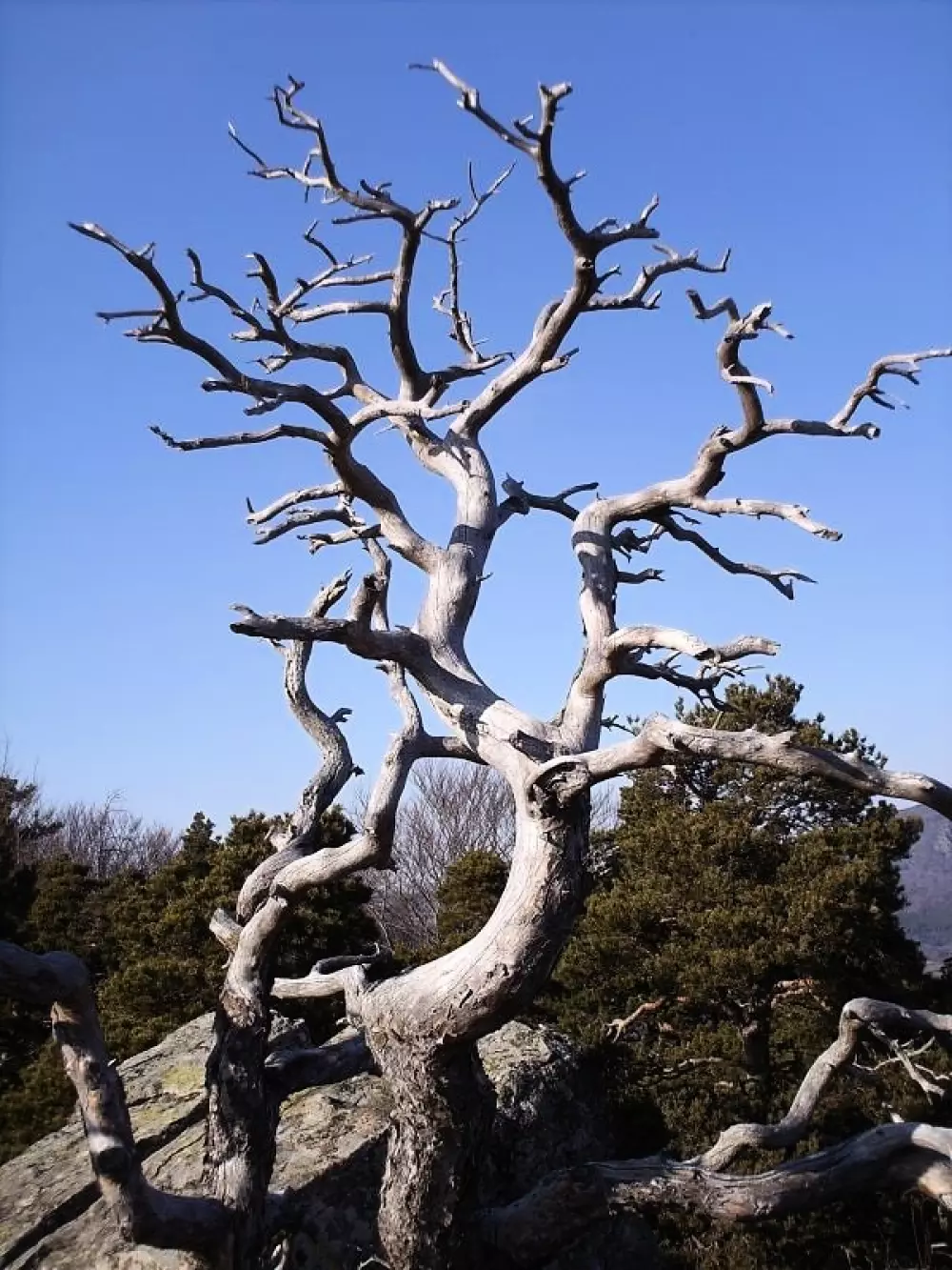 Domaine du Pra de Mars 2 Sterne★★