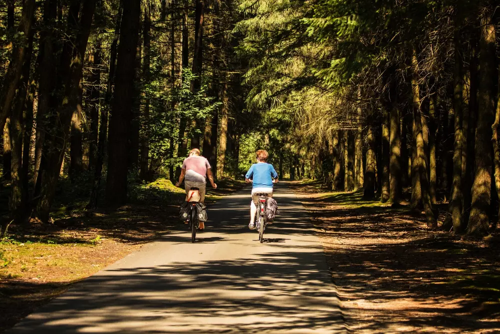 Campingpladser De Bergen