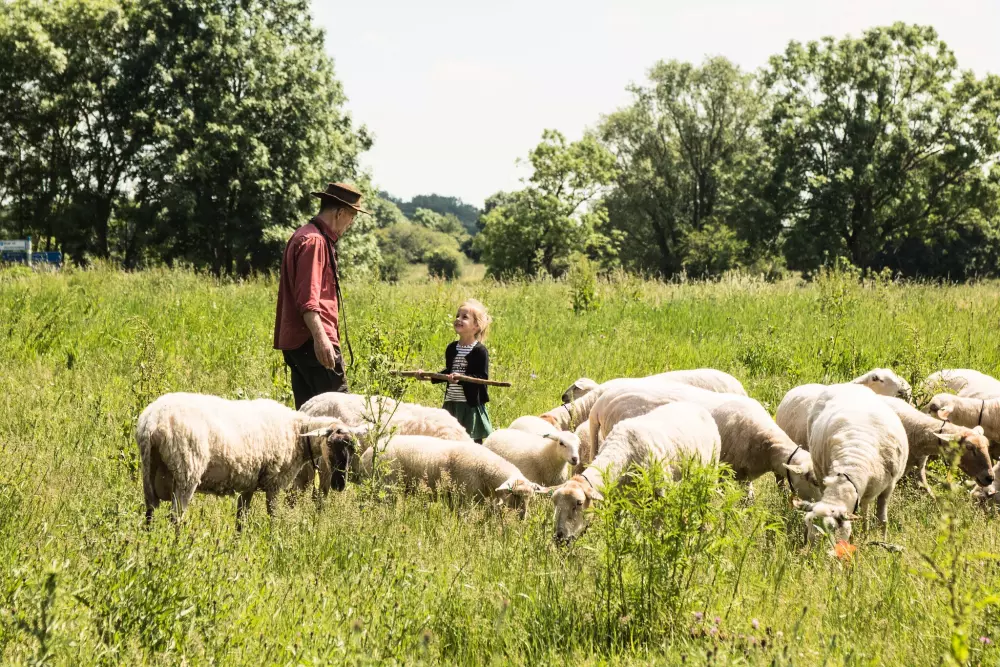 Campingpladser De Bergen
