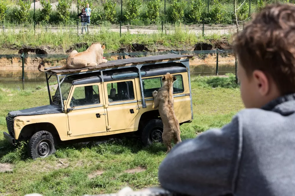 Campingpladser De Bergen