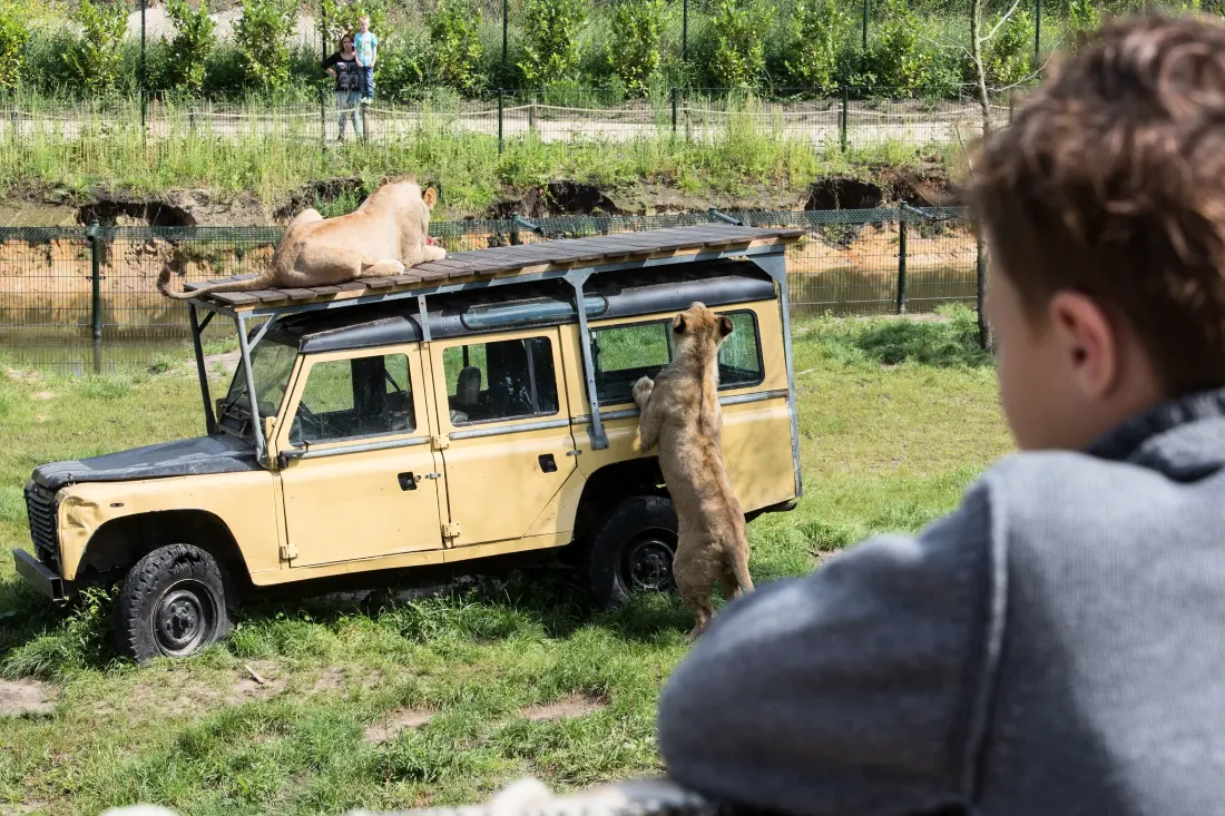 Camping Vakantiepark de Bergen