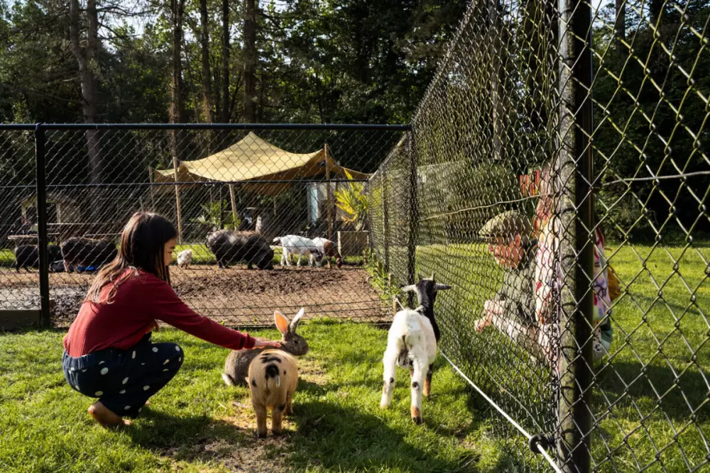 Camping Siësta (Vodatent)