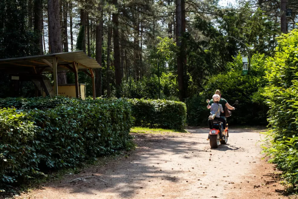 Camping Siësta (Vodatent)