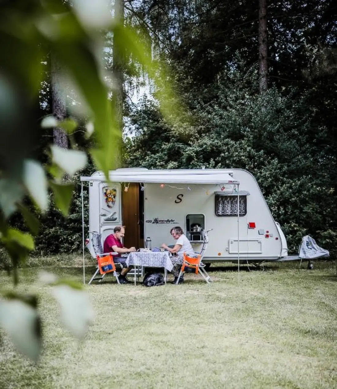 Campsite Siesta 3 Csillagok★★★
