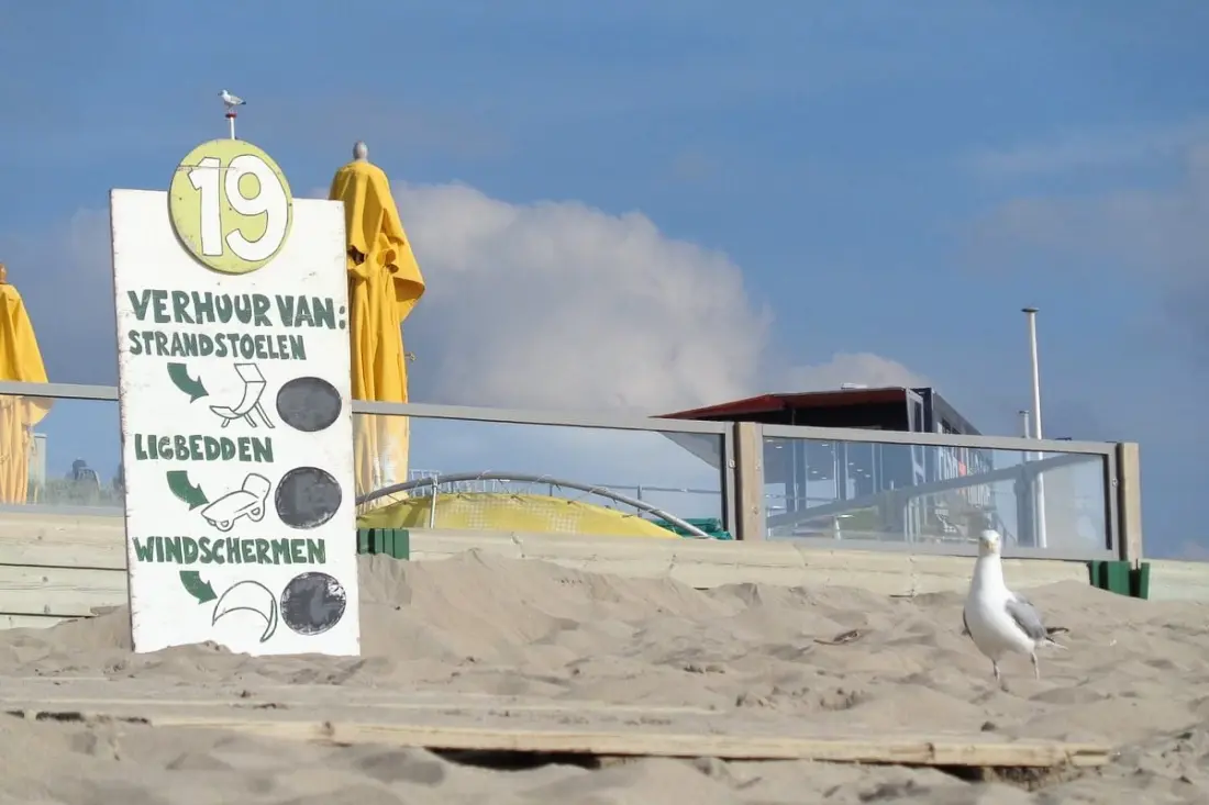 Beach és város Suite