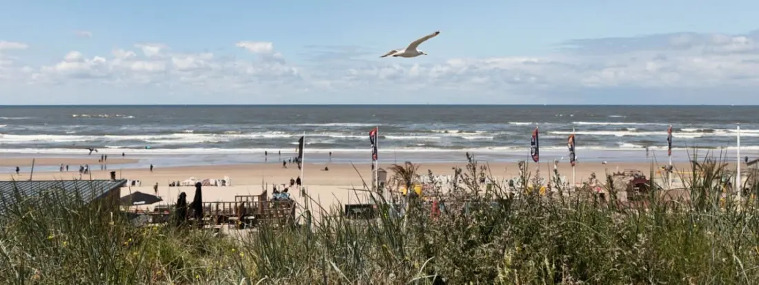 Beach és város Suite