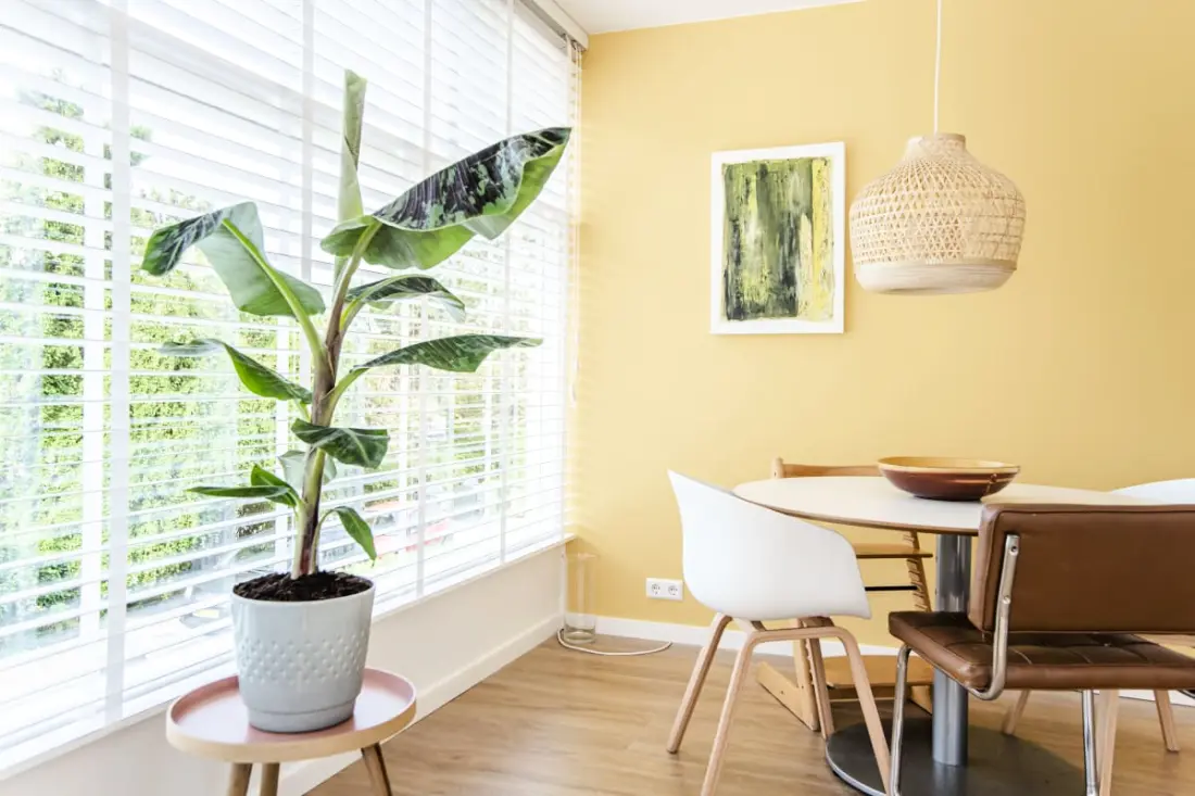 A Shell Apartment 59