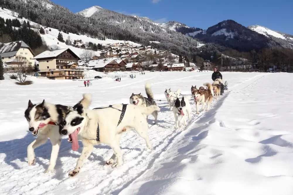 AlpChalets Ports du Soleil 6 Sterne★★★★★★