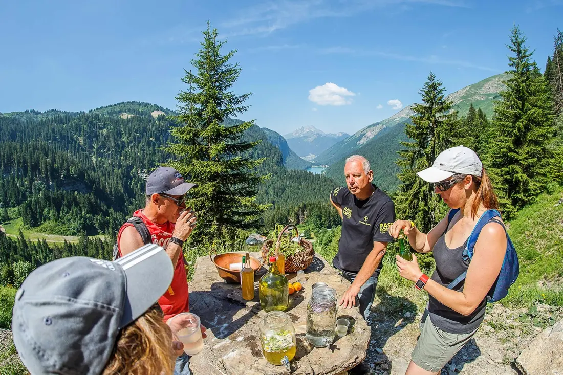 AlpChalets Portes du Soleil 5 Csillagok★★★★★