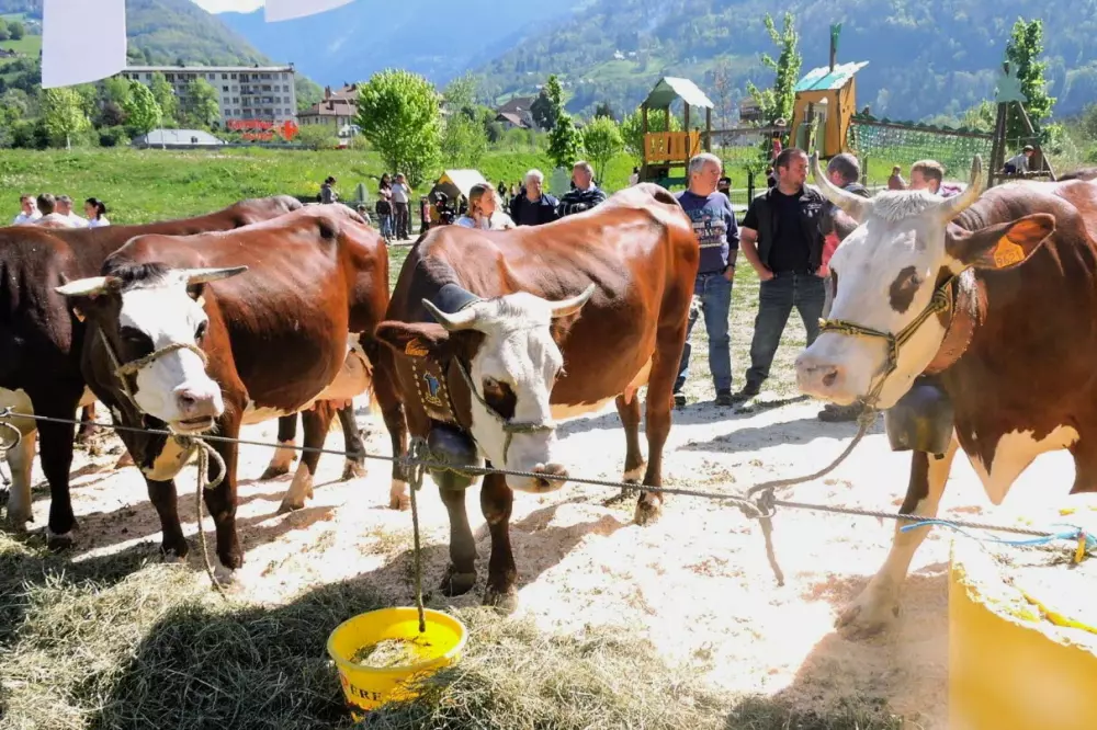 AlpChalets Ports du Soleil 6 Sterne★★★★★★