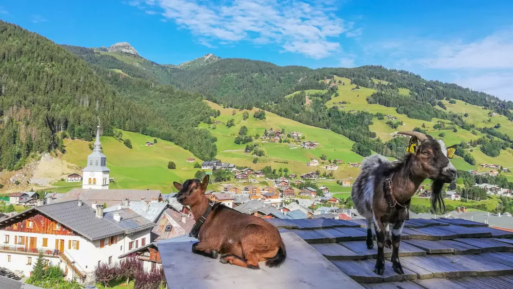 AlpChalets Ports du Soleil 6 Sterne★★★★★★