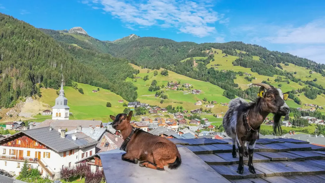 AlpChalets Portes du Soleil 5 Csillagok★★★★★