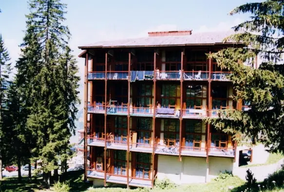 Vogel Residence