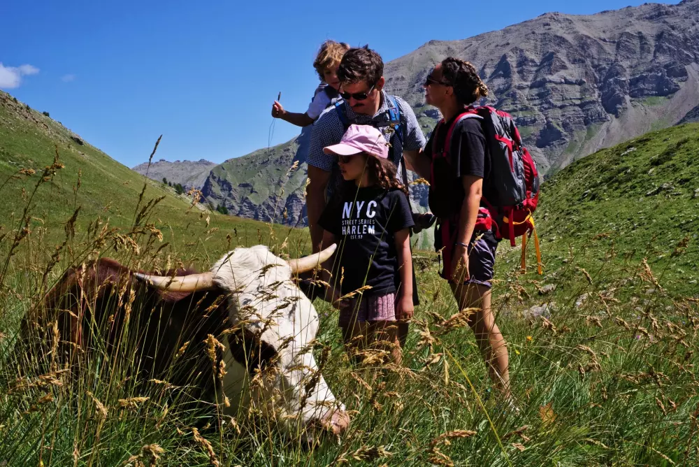 Le Petit Liou Sites & Paysages 3 Sterne★★★