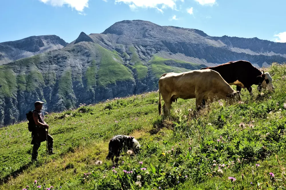 Le Petit Liou Sites & Paysages 3 Sterne★★★