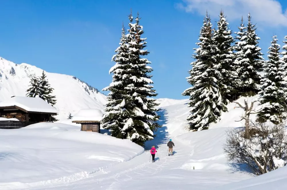 Pueblo de vacaciones Bois d'Amont 3 Estrellas★★★