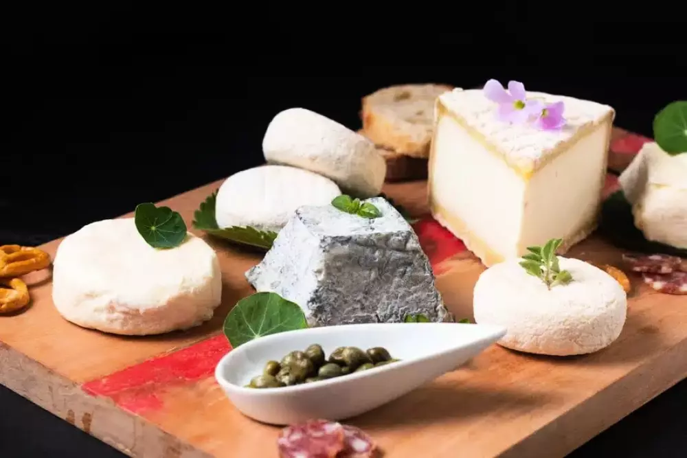 Camping Le Colporteur 5 Sterren★★★★★