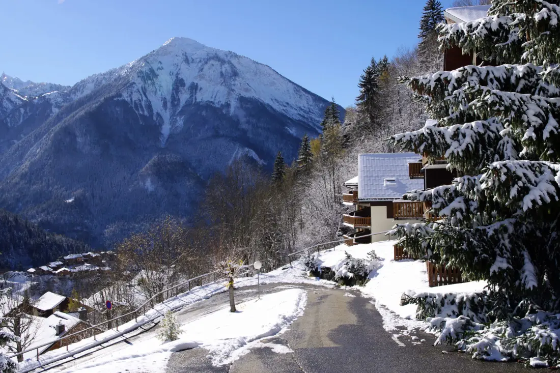 Residence Dryades - Les Hauts De Planchamp