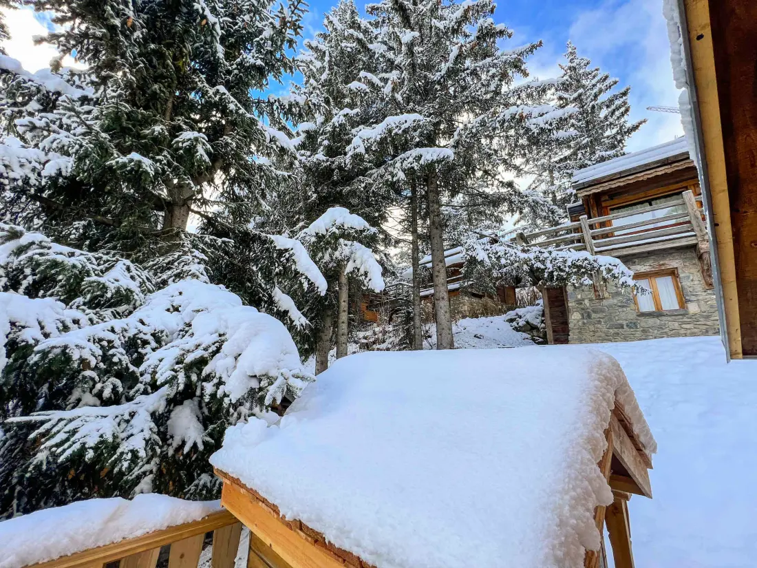 Residence Mazot Les Bichettes