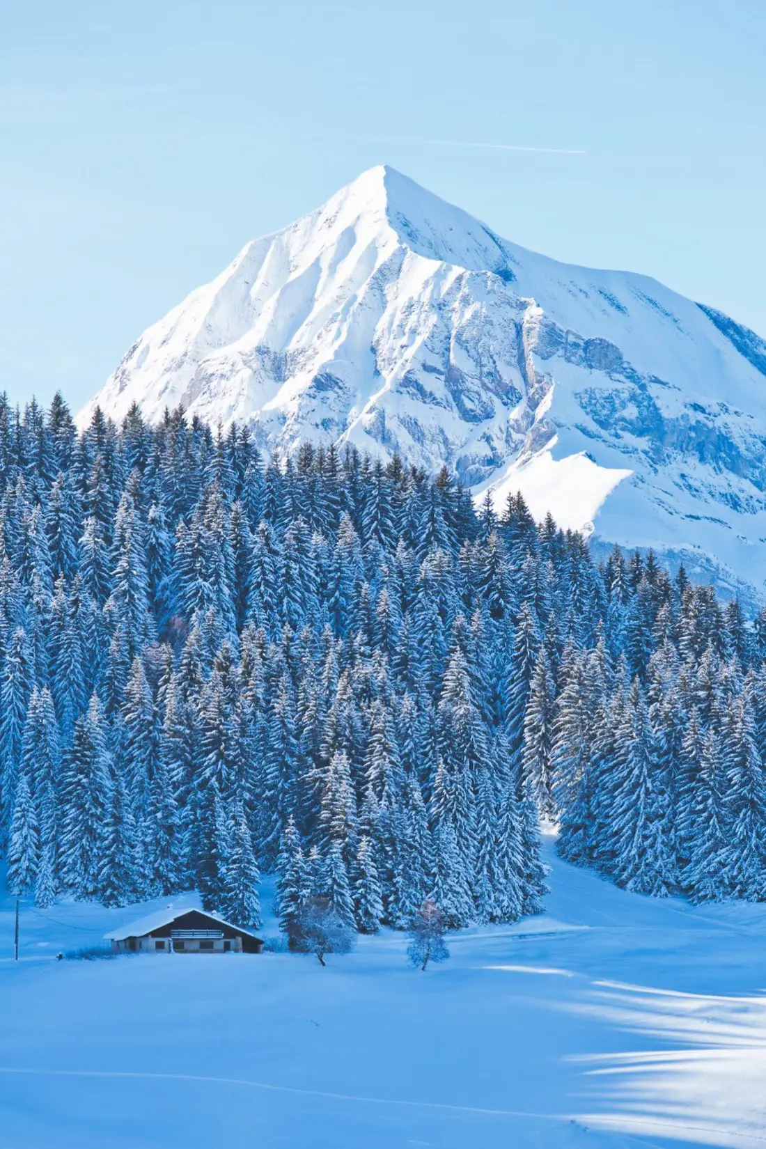 Residence Le Schuss 1