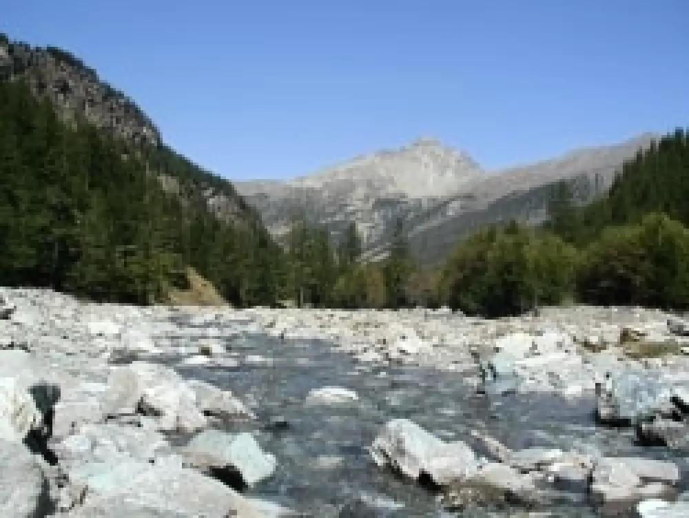 Camping Chalets Résidentiels SAINT JAMES LES PINS 3 étoiles★★★