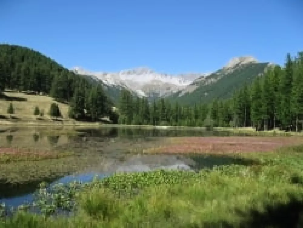 Camping Chalets Résidentiels SAINT JAMES LES PINS 3 étoiles★★★