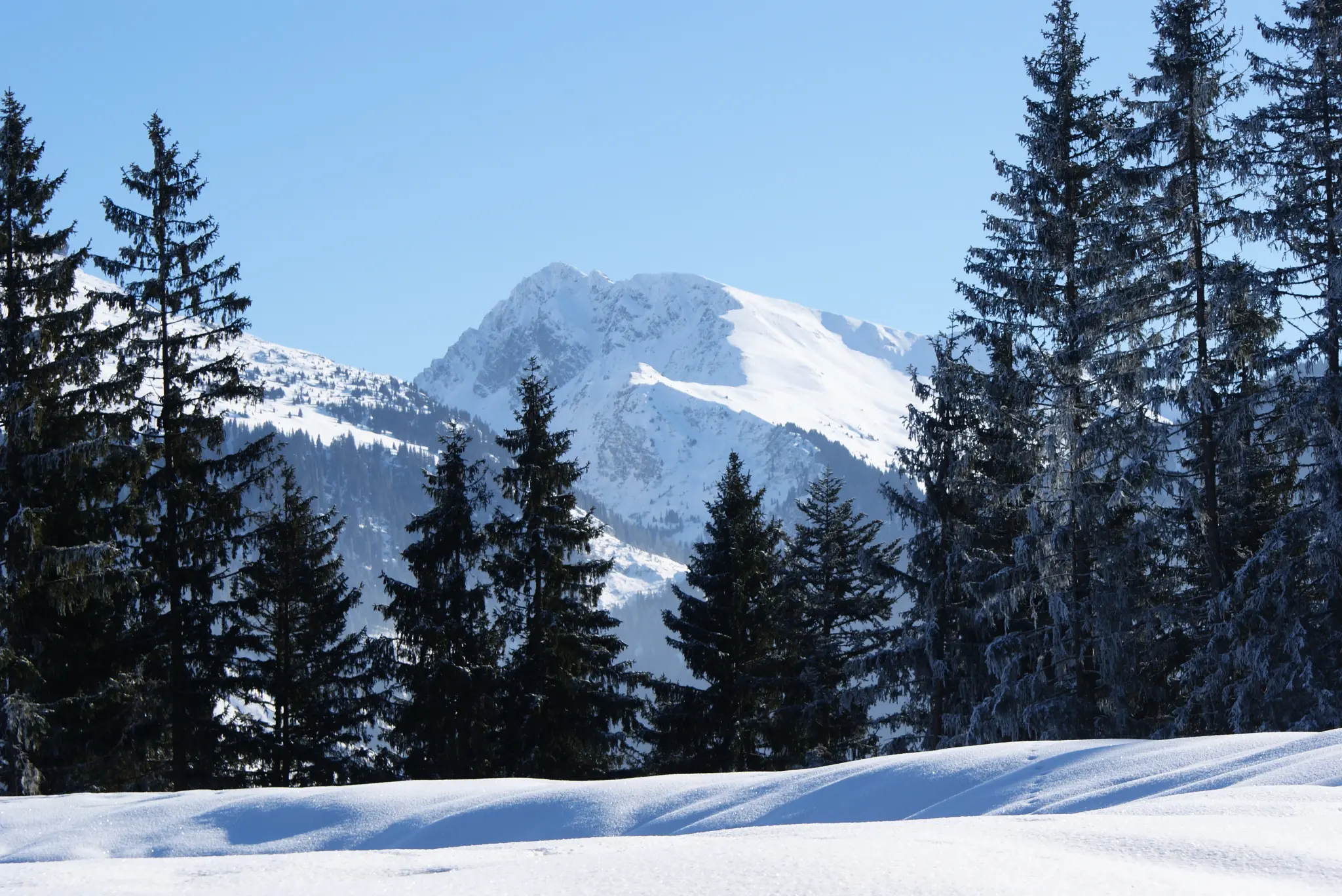Hotel Alpenhof - 2