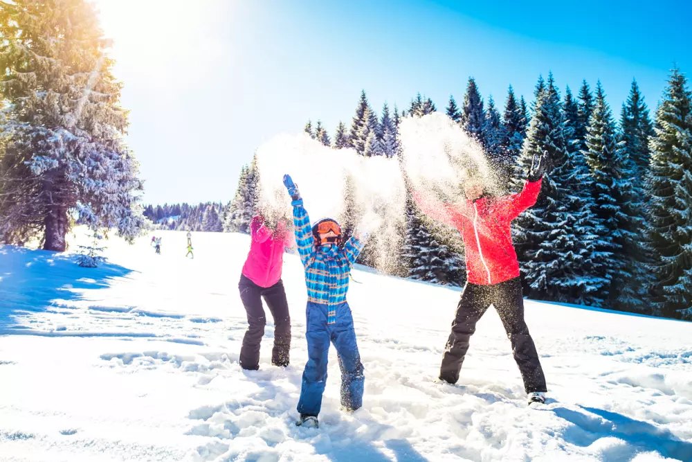 VVF Montchavin La Plagne 3 Stars★★★