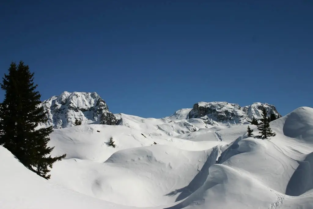The Praz Chalets