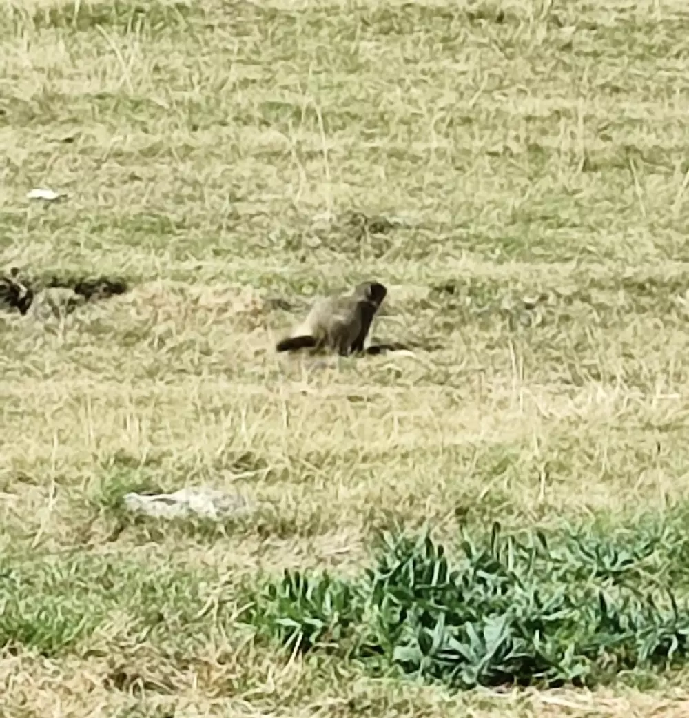 Campsite Le Champ Long 3 Stars★★★