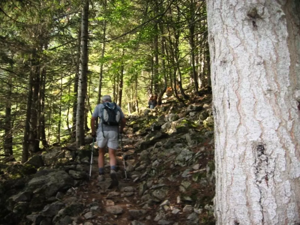 Campsite Le Champ Long 3 Stars★★★