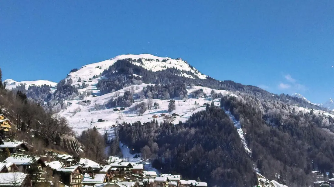 Residence Bel Alp 1