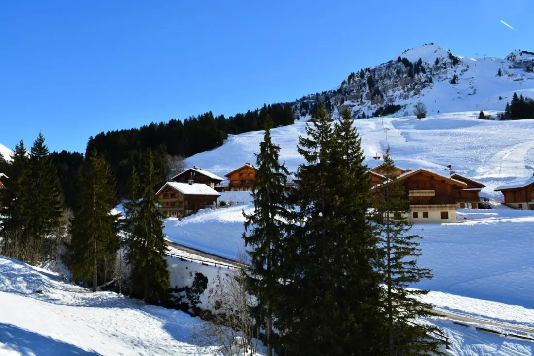 Residence Florimontagnes A
