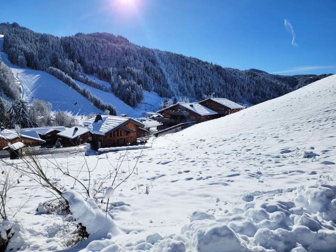 Chalet Les Perrieres