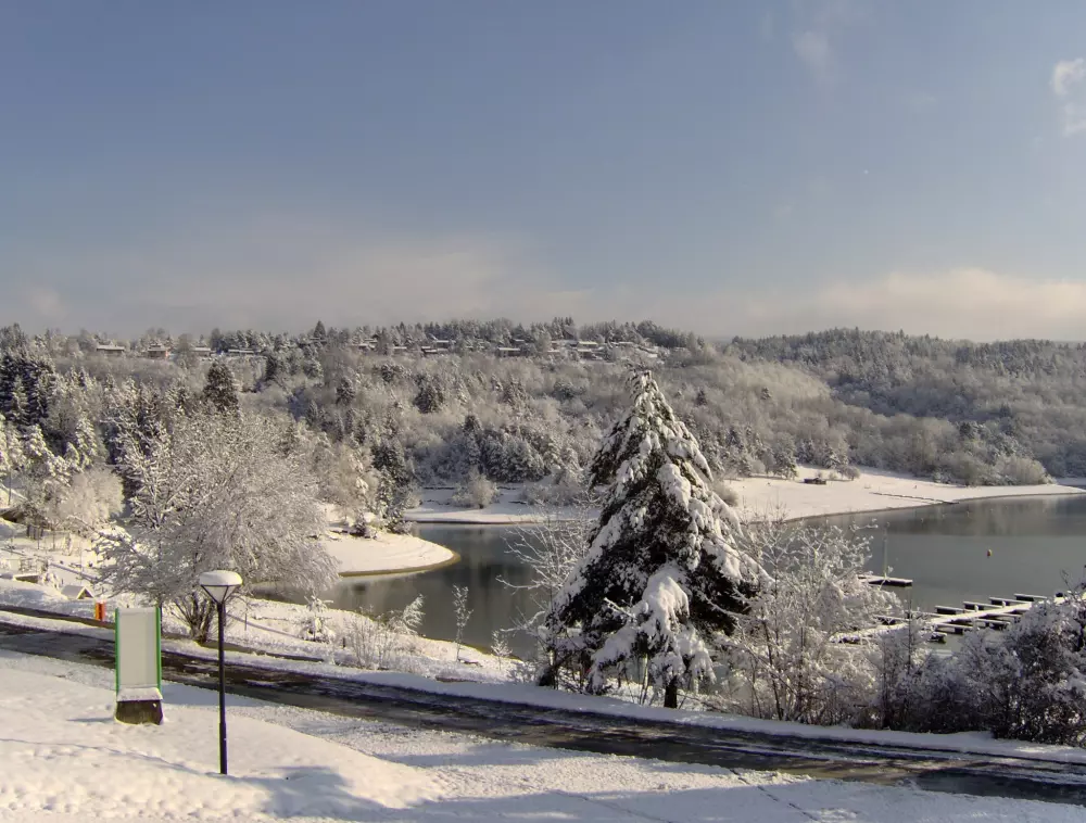 VVF Maisod 3 Stars★★★