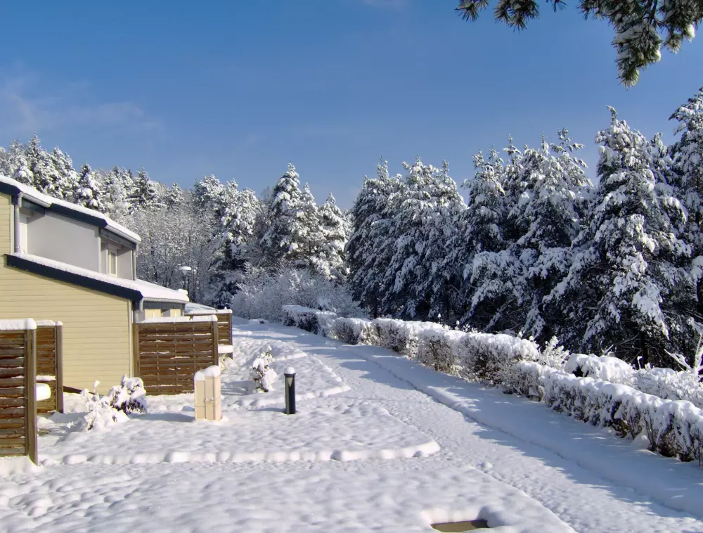 VVF Maisod 3 Stars★★★