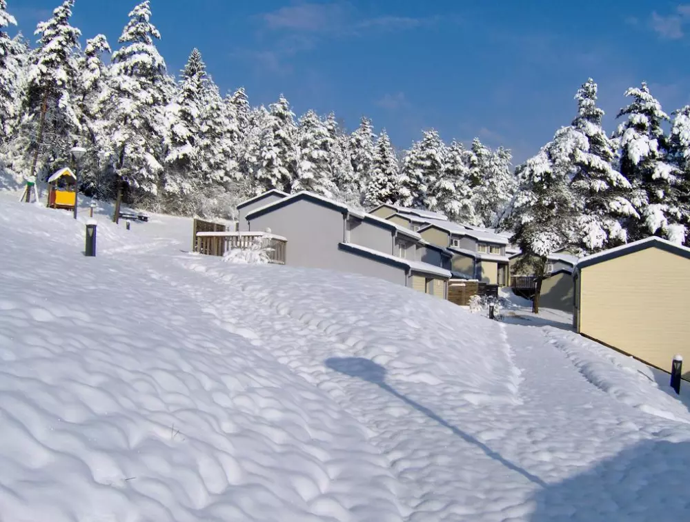 VVF Maisod 3 Stars★★★