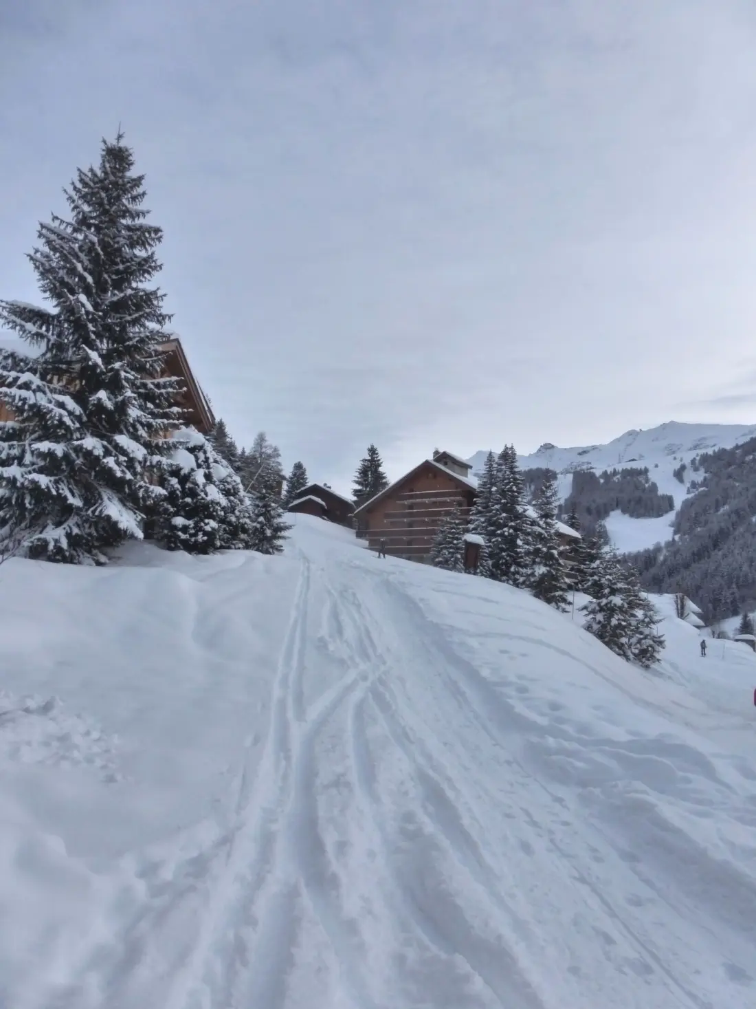 Residence Le Vallon