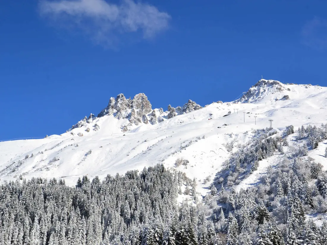 Creux De L Bear B lakóhelye