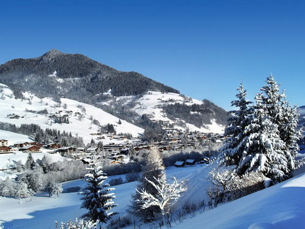 Belambra Clubs Praz-sur-Arly - L'Alisier - Halfpension