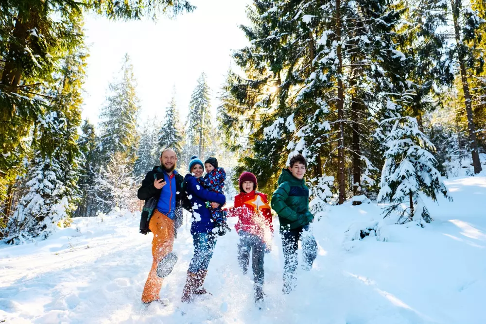 VVF Saâles 3 Stars★★★