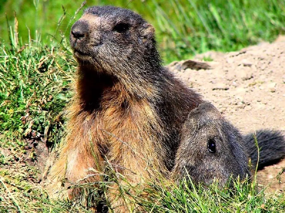 Camping-Caravaneige l'Iscle de Prelles 3 Stars★★★